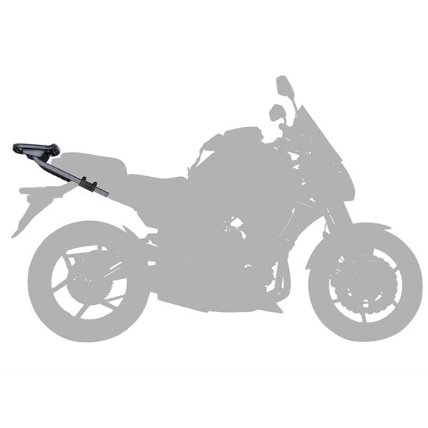 profile
