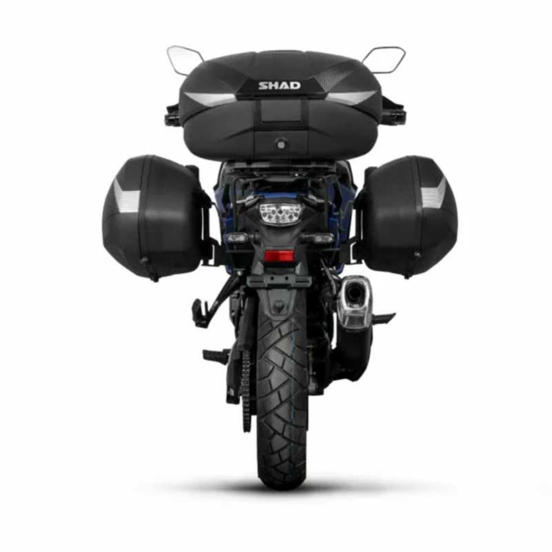 profile